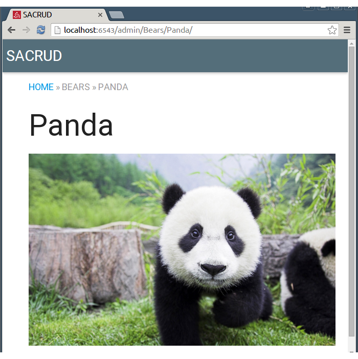 ../../_images/custom_resource_panda.png